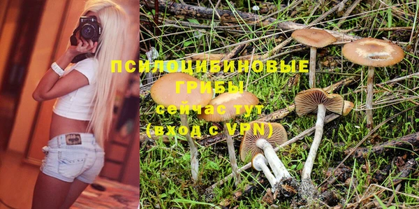 spice Балахна