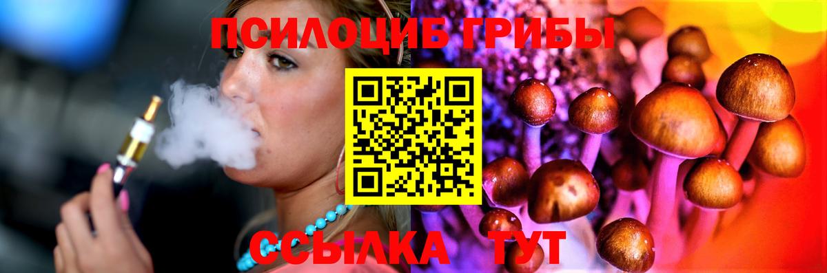 Можга  Псилоцибиновые грибы Psilocybine cubensis  Псилоцибиновые грибы MAGIC MUSHROOMS  Вход с VPN 